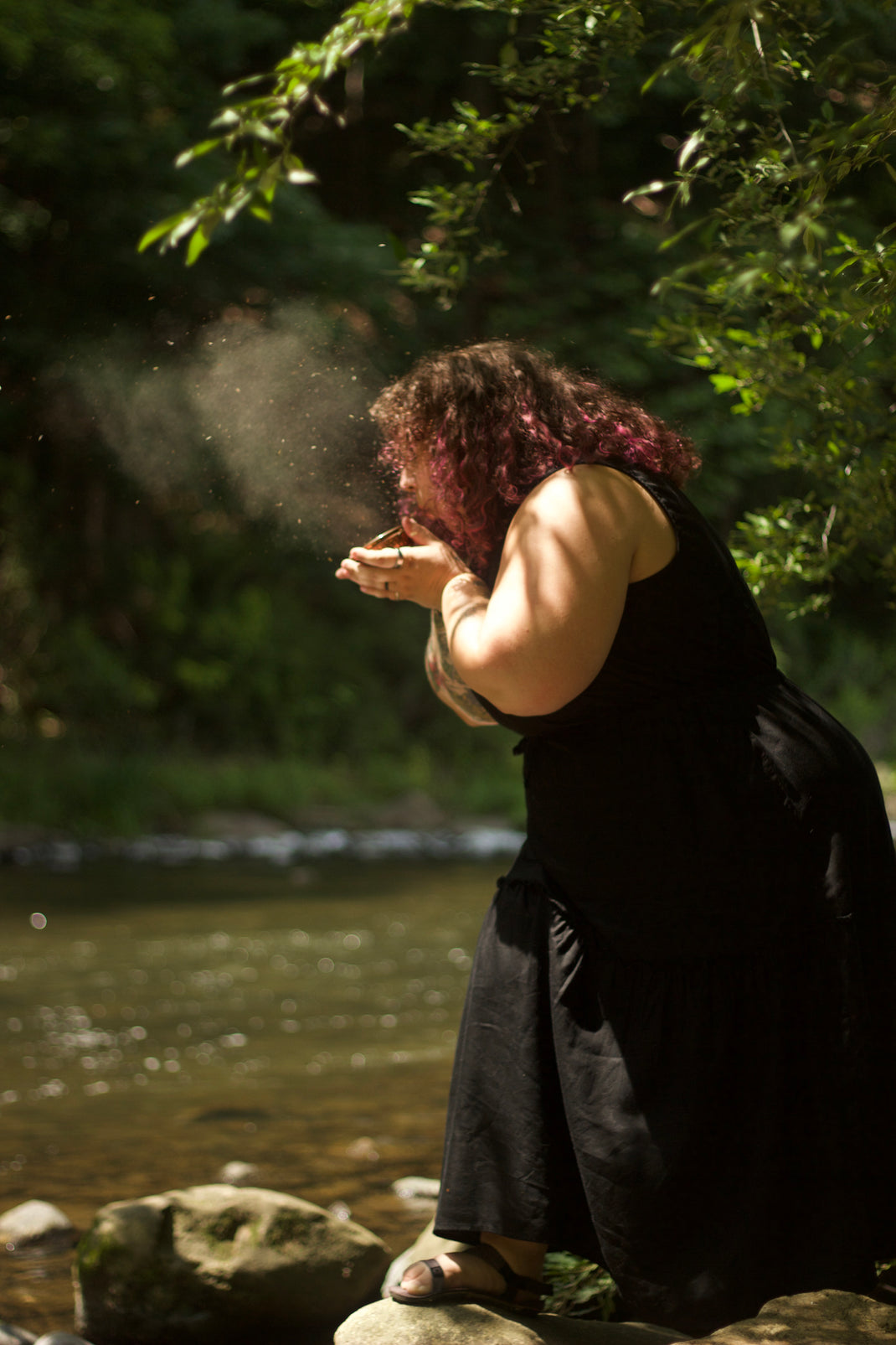 Intuitive Guidance & Space Clearing – Willow Woods